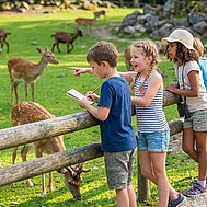 Abenteuer im Tiergarten